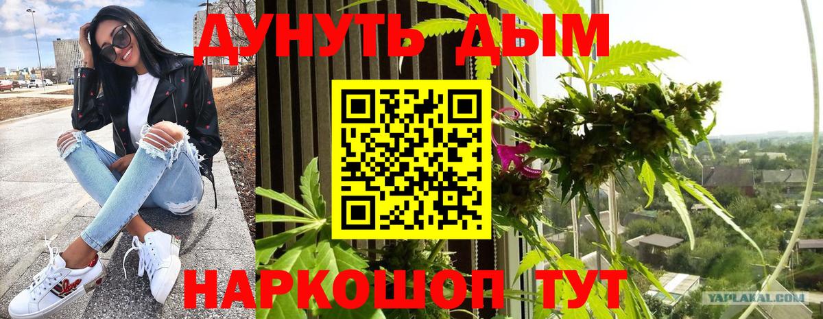 Выборг  Бошки Шишки сатива  Вход с VPN  Каннабис SATIVA & INDICA  МАРИХУАНА план 